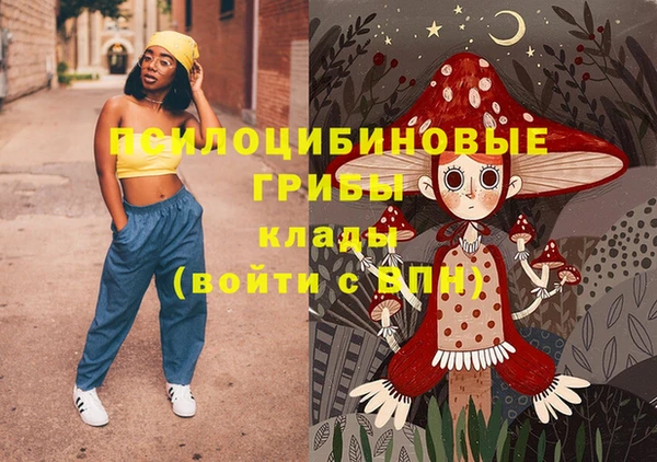 дживик Баксан