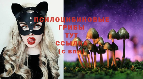 марки nbome Беломорск